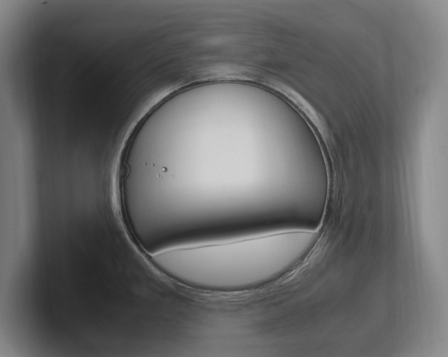 X0000102261293200807250830