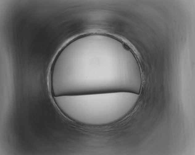 X0000102261295200807250830