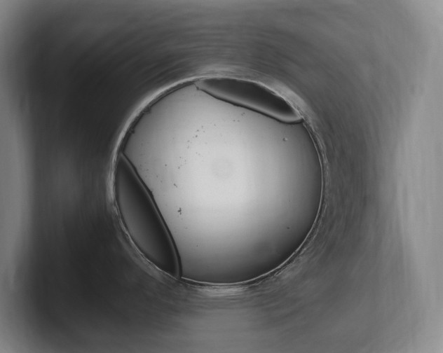 X0000102261296200807250830