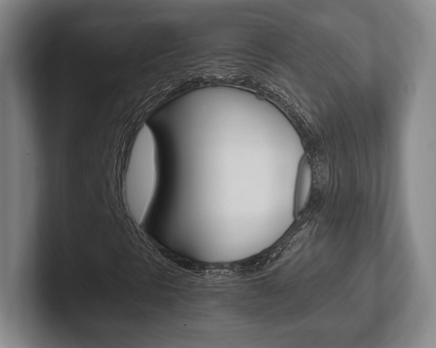X0000102261297200807250829