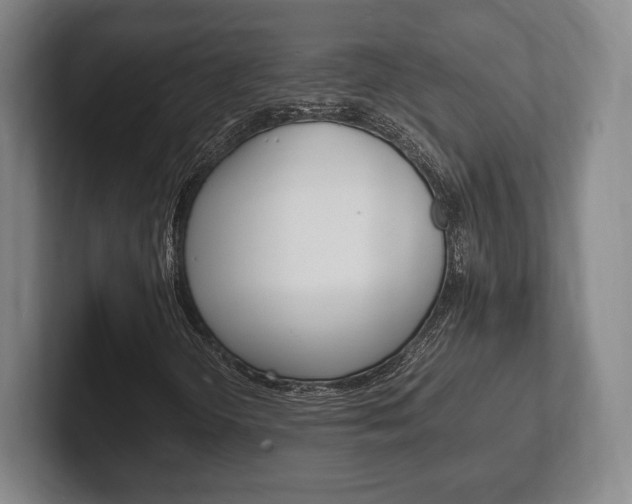 X0000102261298200807250829