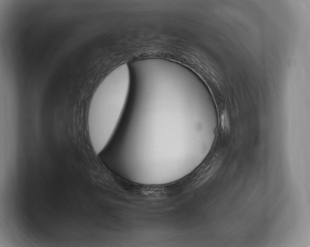 X0000102261299200807250829