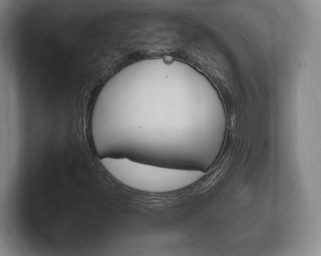 X0000102261300200807250829