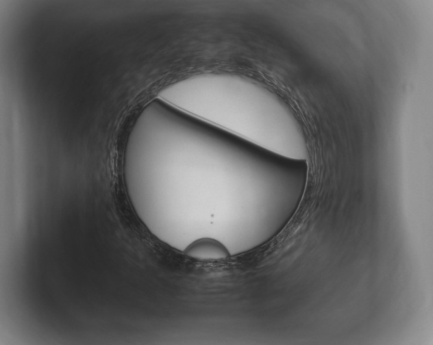 X0000102261301200807250829