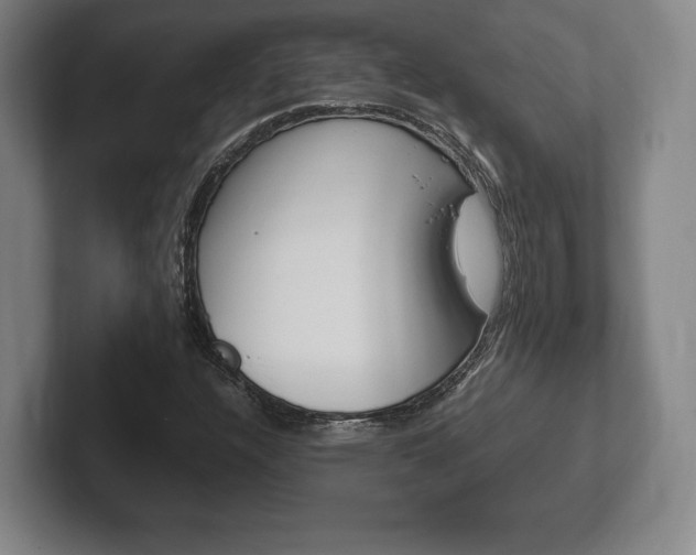 X0000102261304200807250829