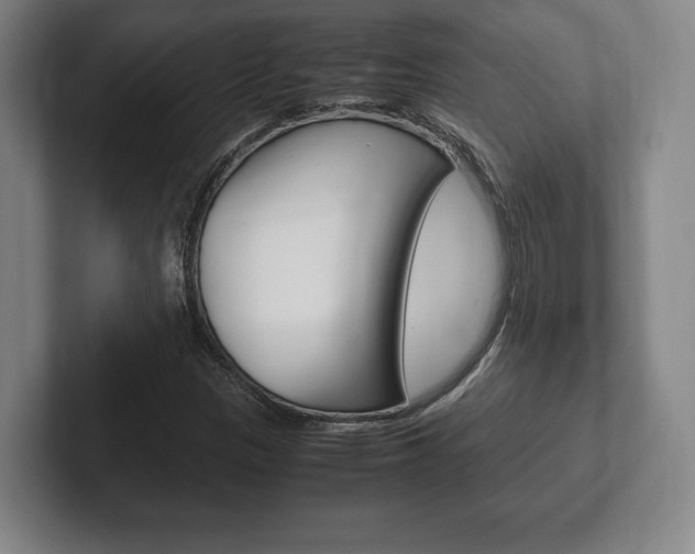 X0000102261305200807250830