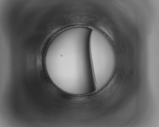 X0000102261307200807250830