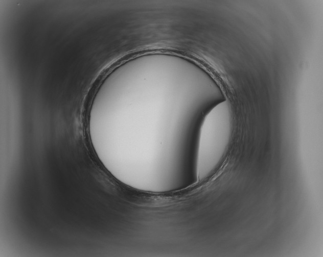 X0000102261308200807250830