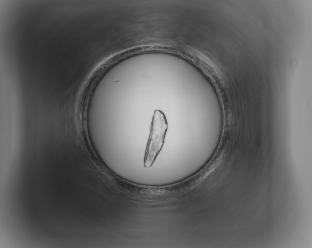X0000102261310200807250830