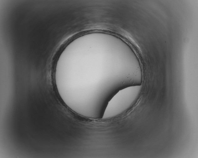 X0000102261312200807250830