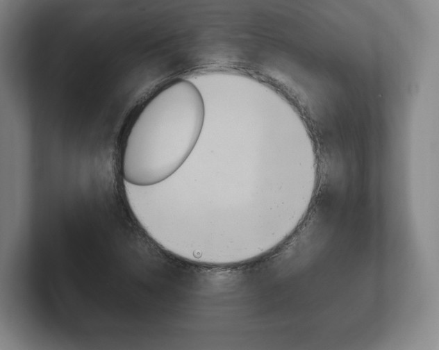 X0000102261314200807250830
