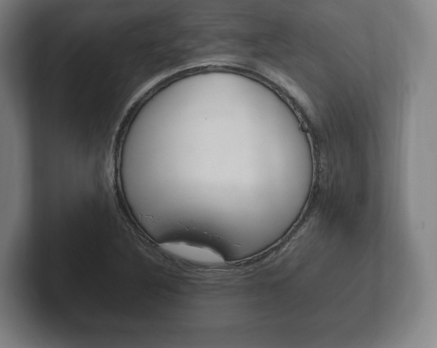 X0000102261316200807250830