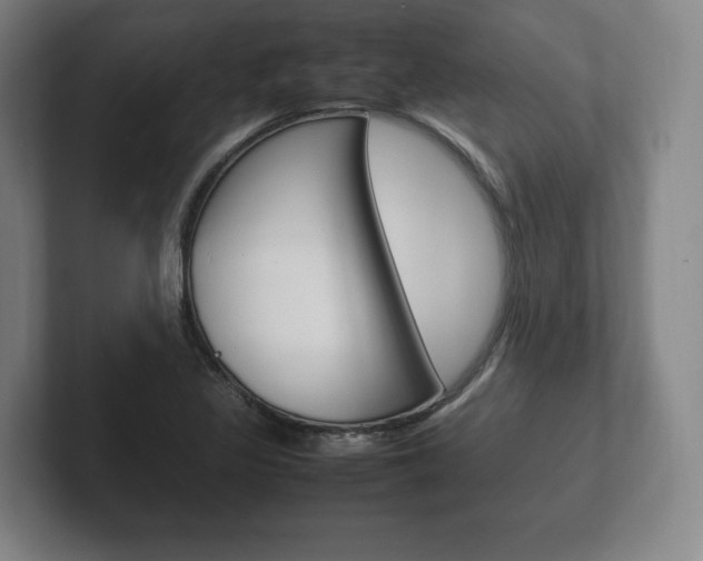 X0000102261317200807250830