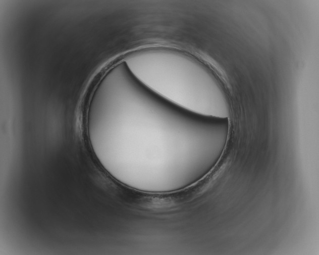 X0000102261318200807250830