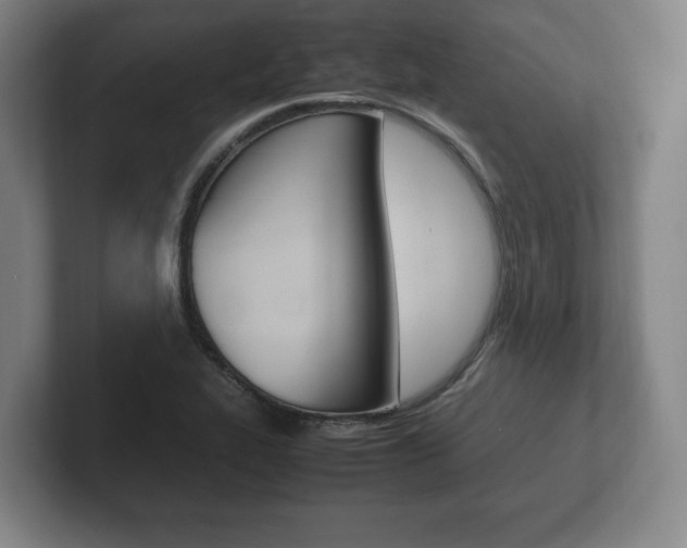 X0000102261319200807250830