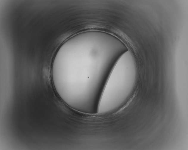 X0000102261321200807250830