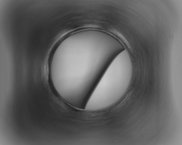 X0000102261323200807250830