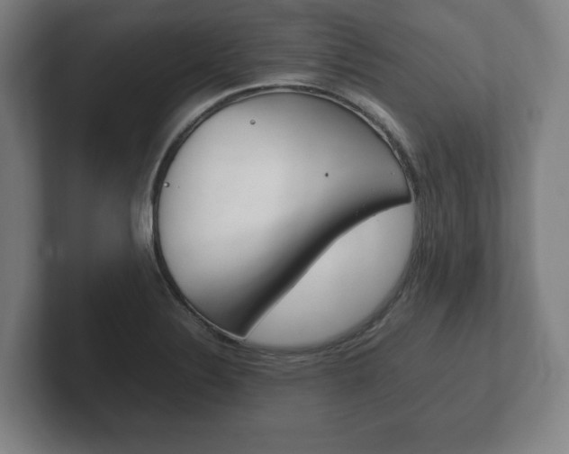 X0000102261324200807250830