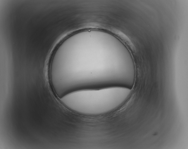 X0000102261326200807250830