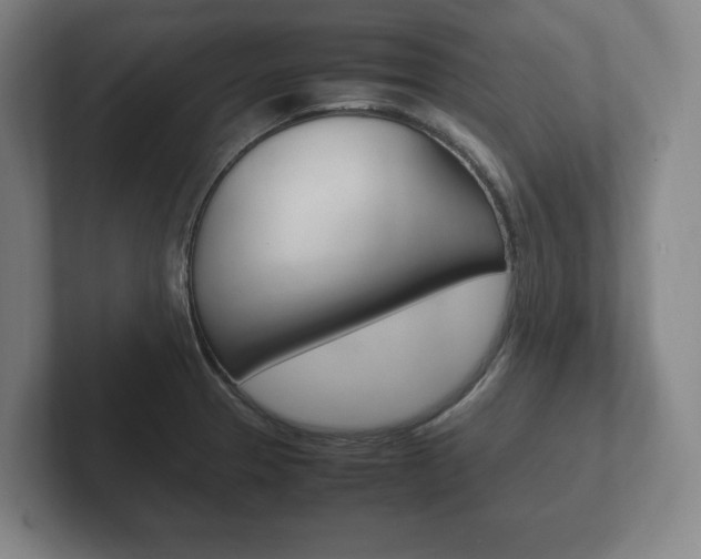 X0000102261329200807250830