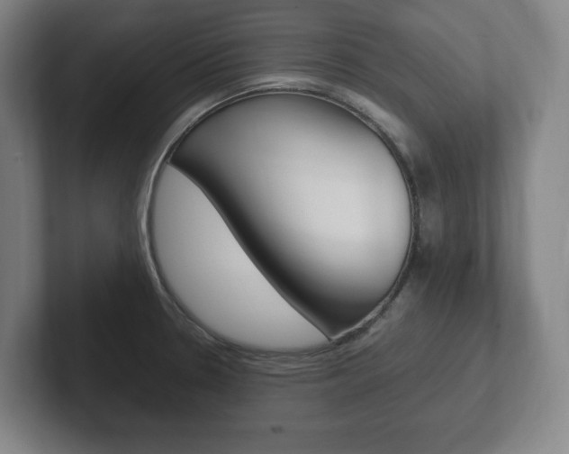 X0000102261330200807250830