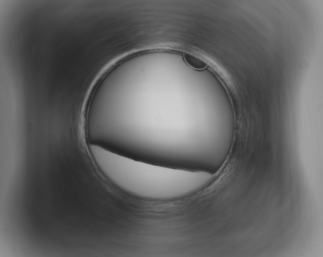 X0000102261332200807250830