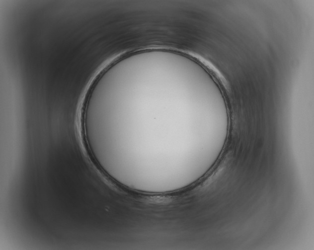 X0000102261333200807250830