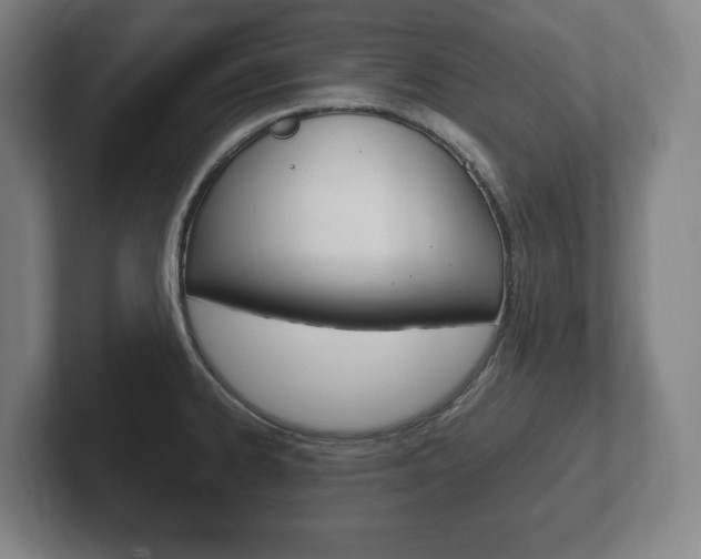 X0000102261334200807250830