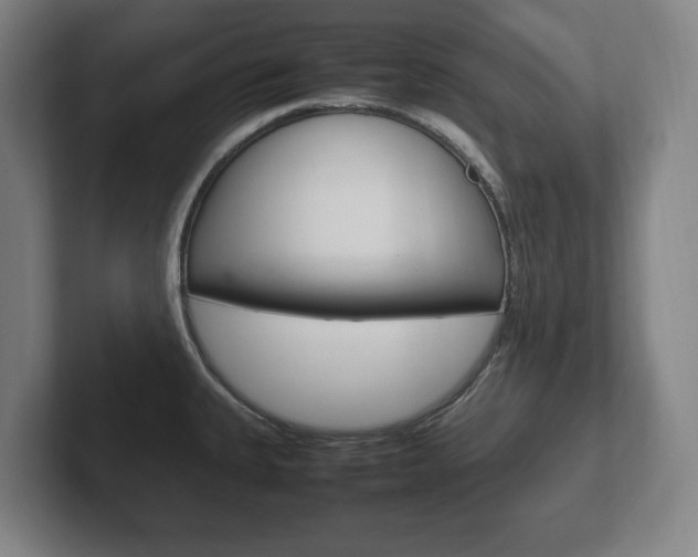 X0000102261335200807250830