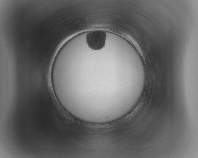 X0000102261336200807250830
