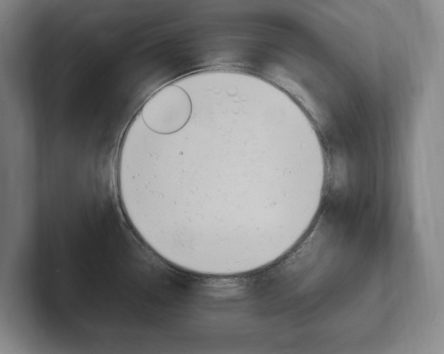 X0000102261338200807250830
