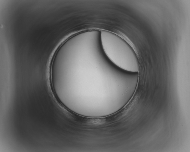 X0000102261339200807250830