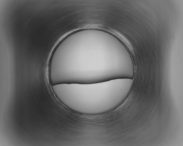 X0000102261340200807250830