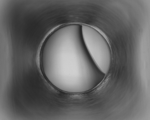 X0000102261341200807250830