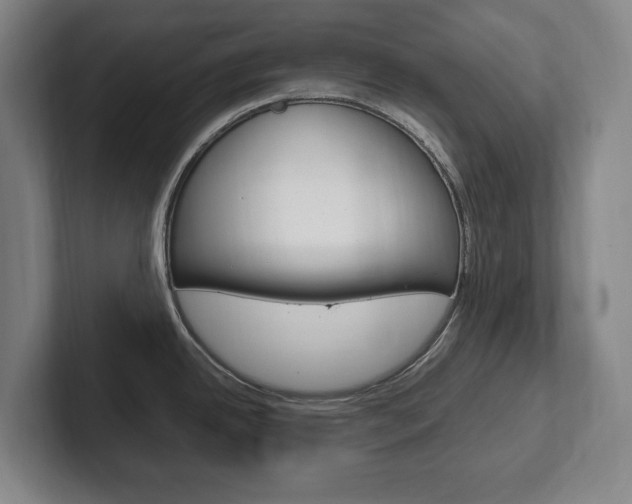 X0000102261342200807250830
