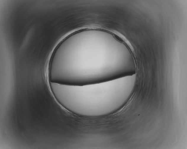 X0000102261343200807250830