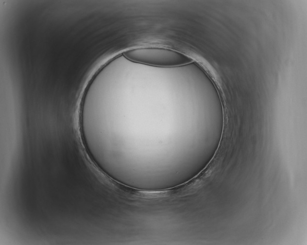 X0000102261344200807250830