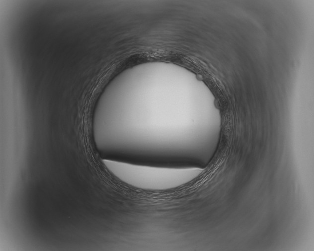 X0000102261345200807250829