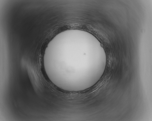X0000102261346200807250829