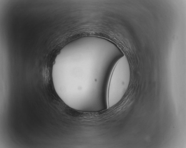 X0000102261347200807250829