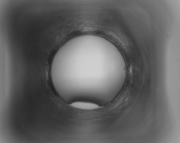 X0000102261348200807250829