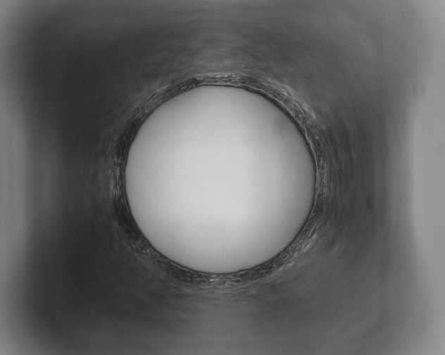X0000102261350200807250829