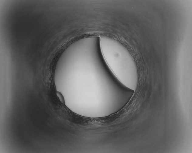 X0000102261351200807250829