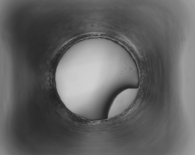 X0000102261352200807250829