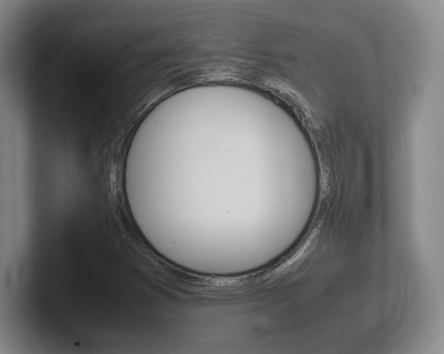 X0000102261353200807250829