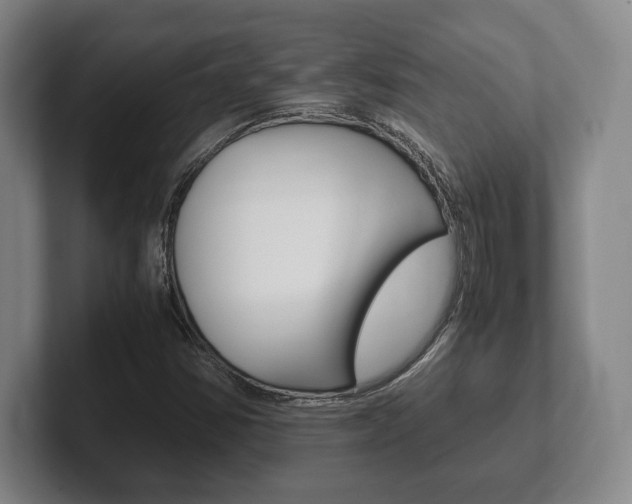 X0000102261354200807250829