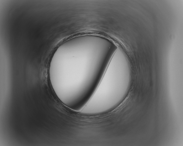 X0000102261355200807250829