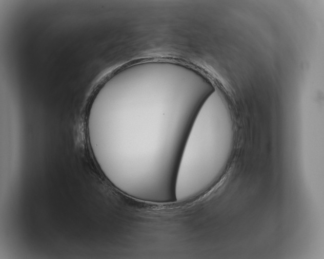 X0000102261358200807250829