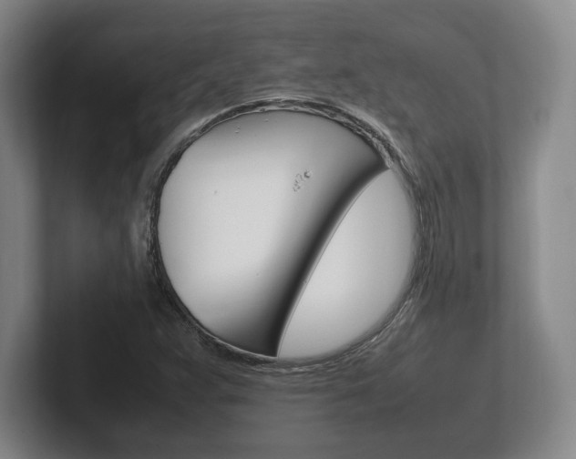 X0000102261359200807250829