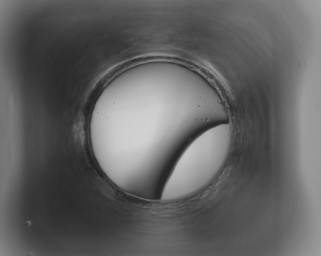 X0000102261360200807250829